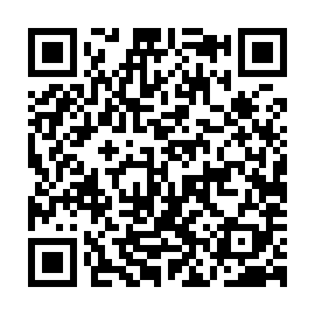 QR code for ANT989