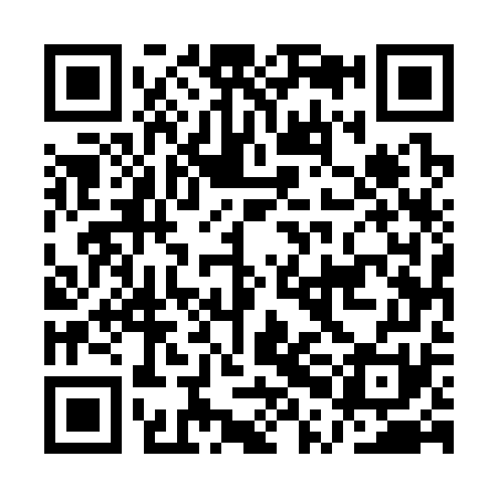 QR code for APE371
