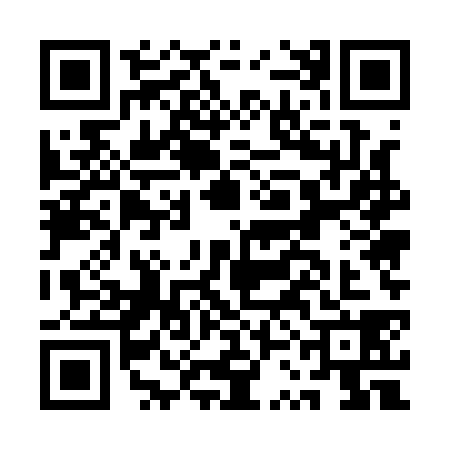 QR code for ASE1385