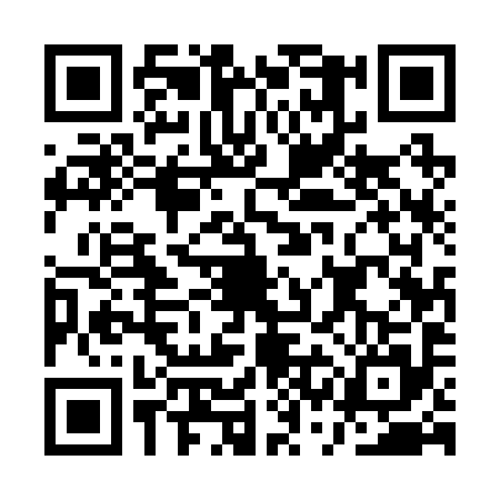 QR code for ASE2953
