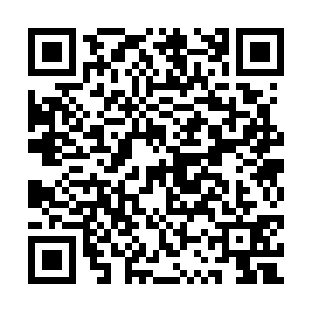 QR code for ASS7313