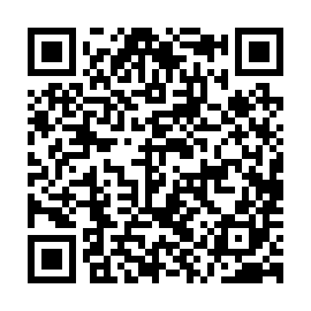 QR code for AYP280