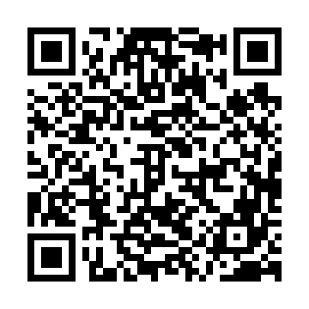 QR code for AYP666