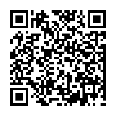 QR code for AYS9993