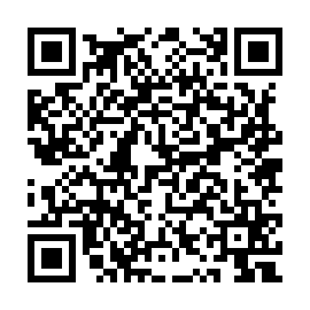 QR code for AYZ9656