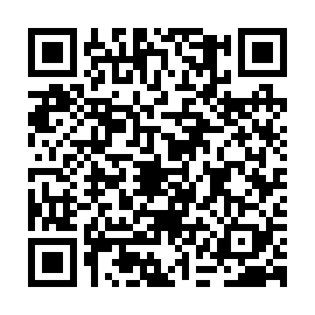 QR code for BAG2299