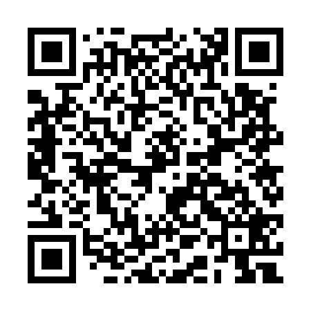 QR code for BAG529