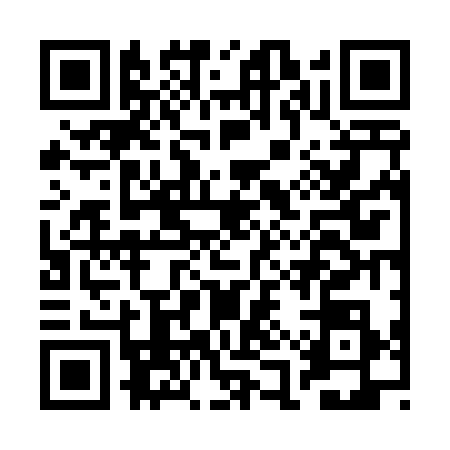 QR code for BAV4384