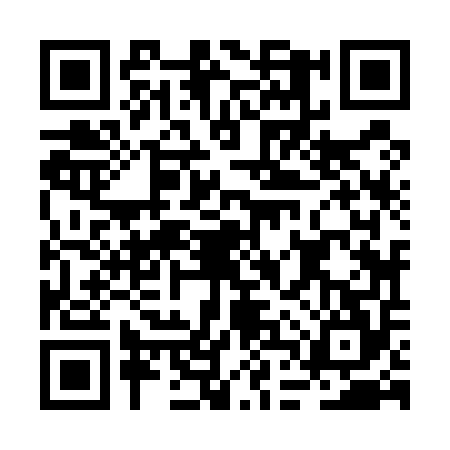 QR code for BDZ5541