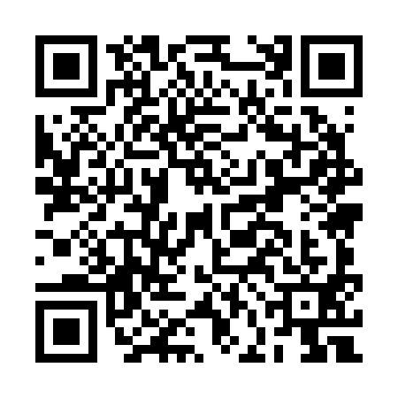 QR code for BFM2919