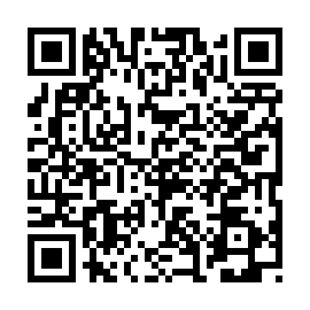 QR code for BGI4228