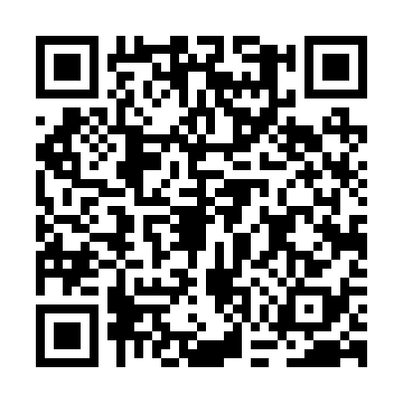QR code for BGT2384
