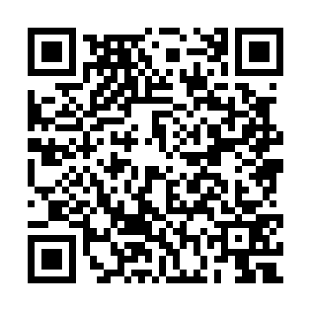 QR code for BGX0739