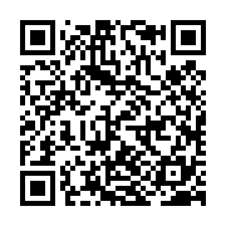QR code for BIB435