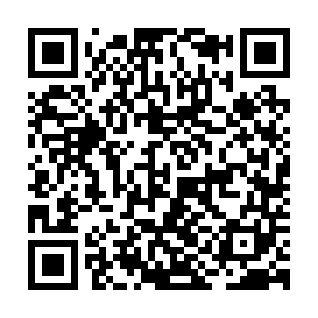 QR code for BIF241