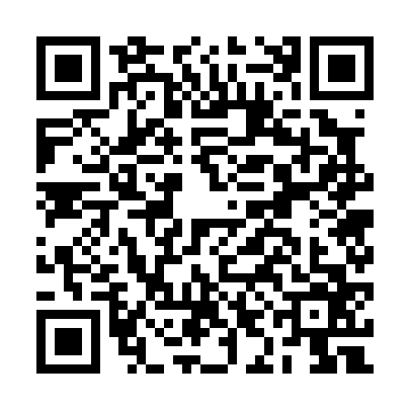 QR code for BIG0663