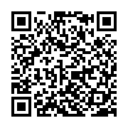QR code for BIG869