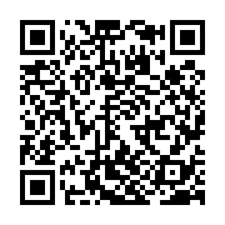 QR code for BIN538