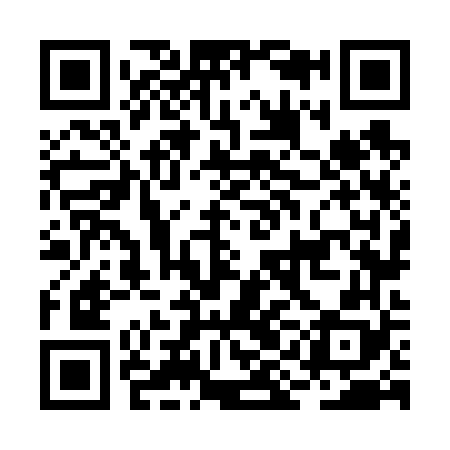QR code for BIN668