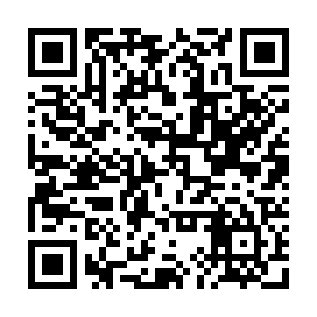 QR code for BIR325