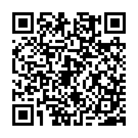 QR code for BIS2425