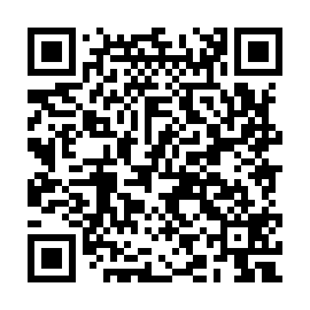 QR code for BIX919