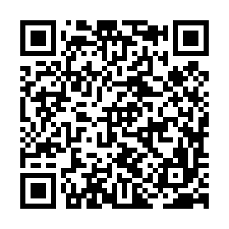 QR code for BIZ496