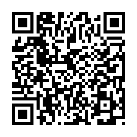 QR code for BJI0995