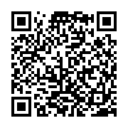 QR code for BJI333