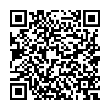 QR code for BLM9565