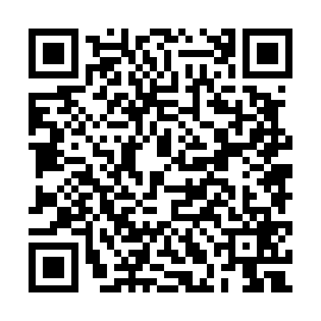 QR code for BLN4699