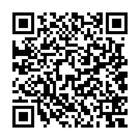 QR code for BLV0295