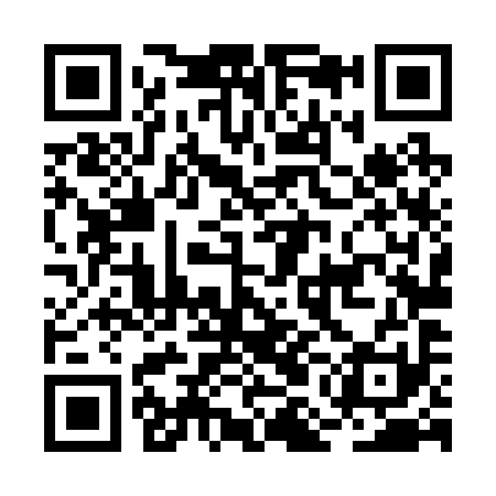 QR code for BML291