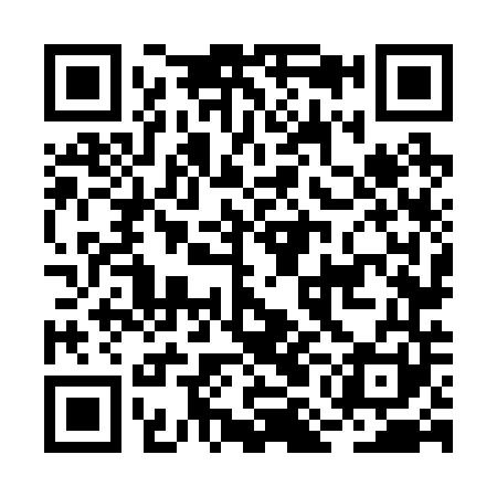 QR code for BMN241