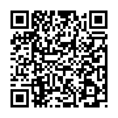 QR code for BOR0474