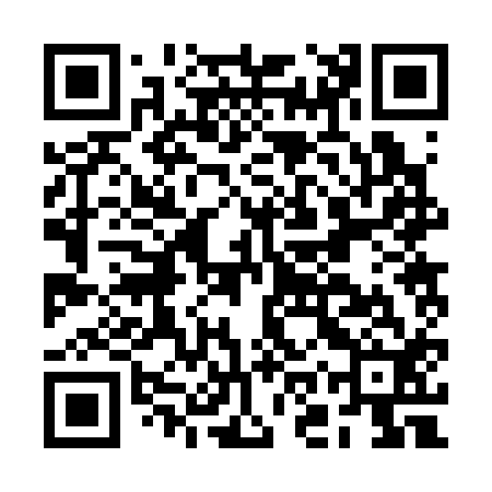 QR code for BOR312