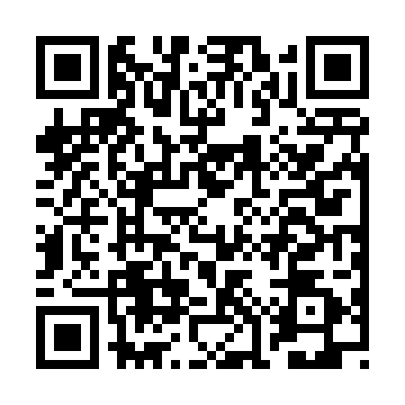 QR code for BOR4028