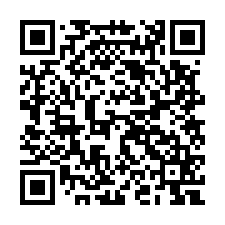 QR code for BOR565
