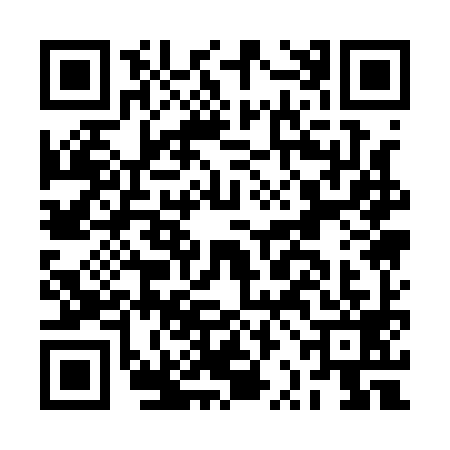 QR code for BRA1995