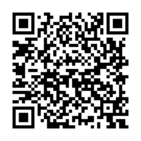 QR code for BRI991