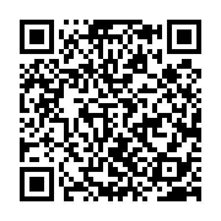 QR code for BSD538