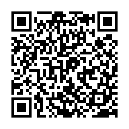 QR code for BSG541