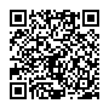 QR code for BSV0333