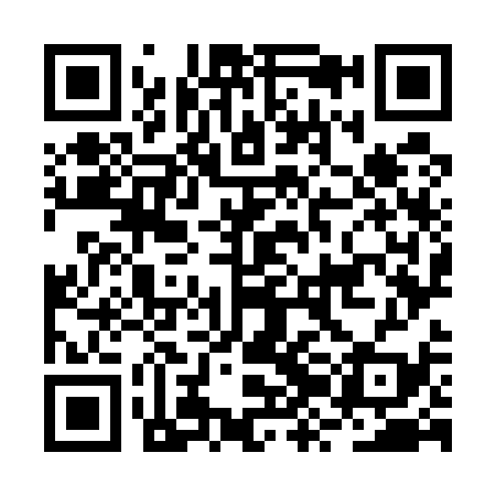 QR code for BZO539