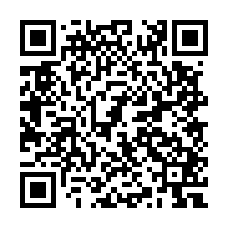 QR code for BZP541