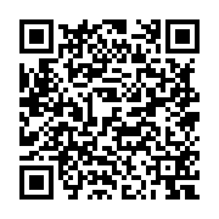 QR code for BZQ8529