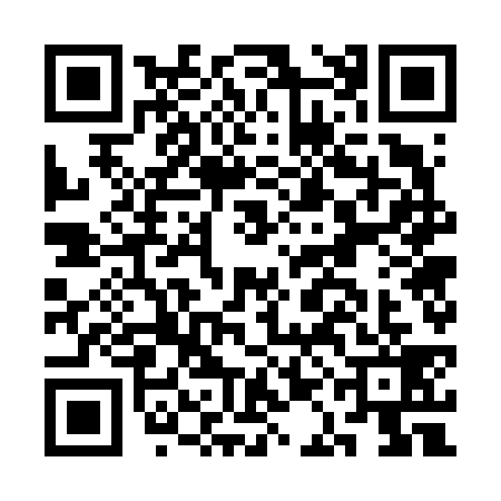 QR code for CAG6393