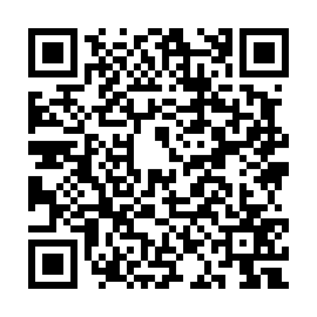 QR code for CAI4771
