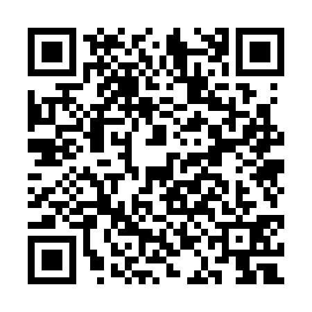 QR code for CAO3311
