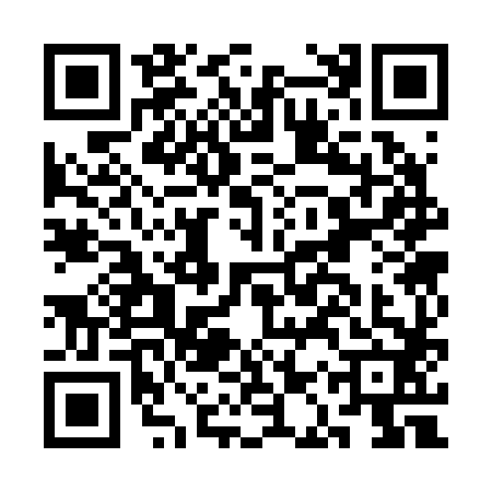 QR code for CAS2829
